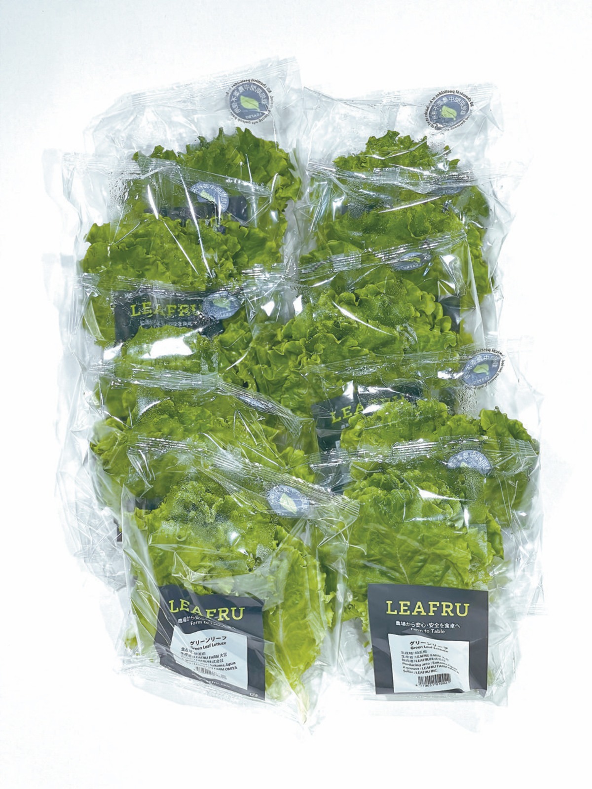 グリーンリーフレタス（10パック） LEAFRU