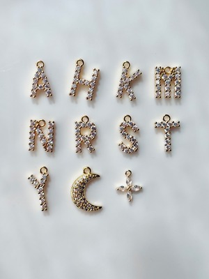 【受注製作】Initial earring -choice-