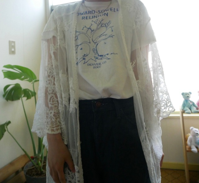 Vintage Sheer Mesh Lace Long Gown