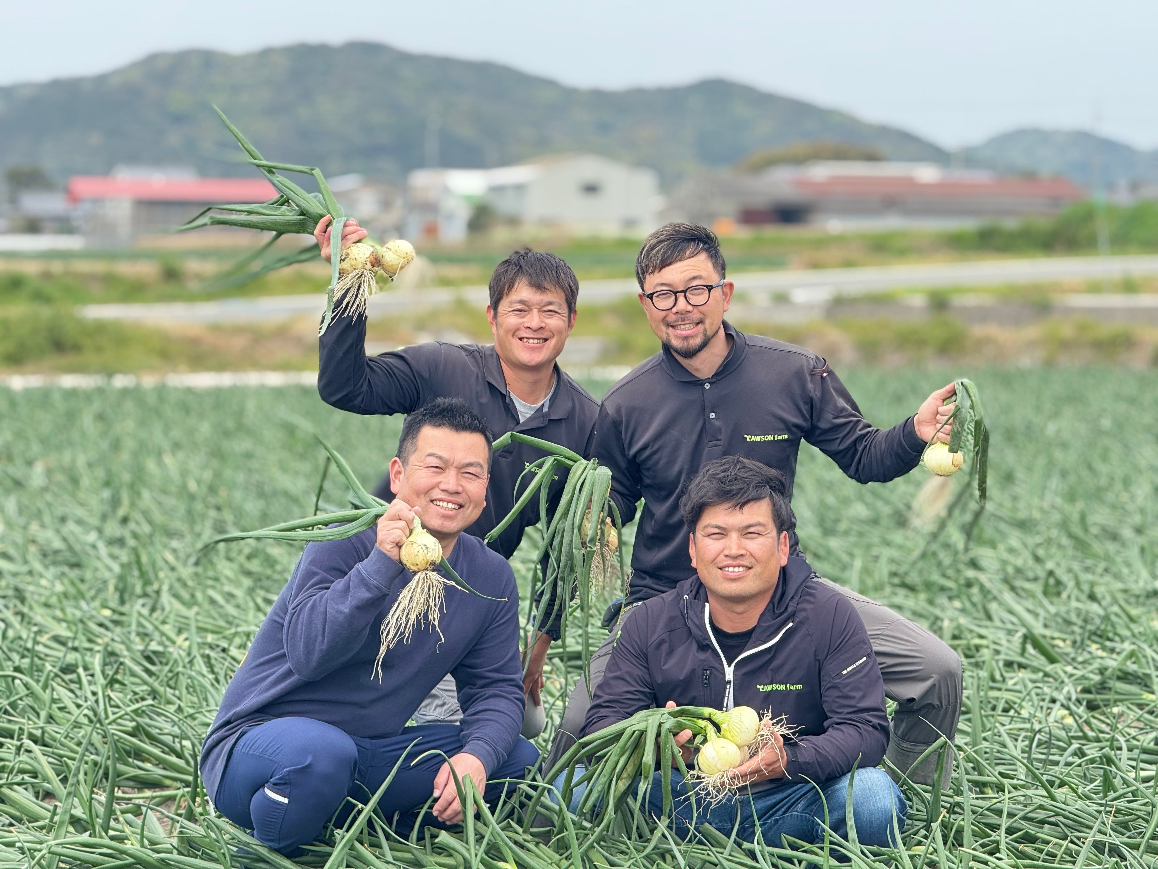 淡路島新玉ねぎ 新一番 3kg 送料・税込み | 原田兄弟の一番玉ねぎ