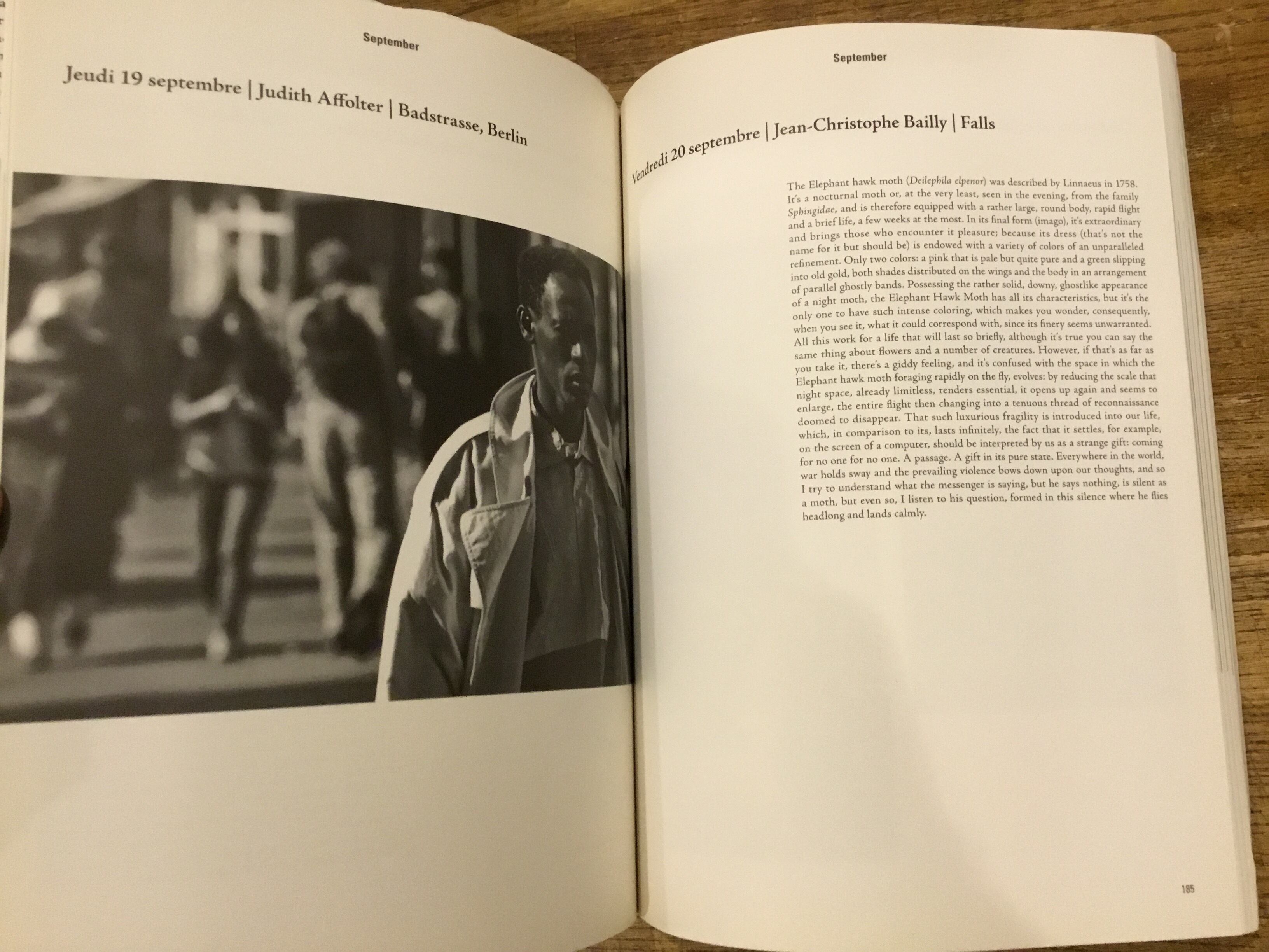 Les Chroniques Purple / エレン ・ フライスほか | 百年