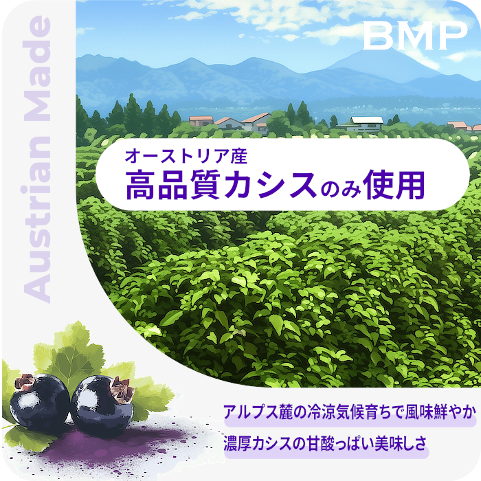 BMP カシスパウダー 1kg (100g×10)アントシアニンがビルベリーの1.4倍! ブルーベリーの4.3倍 (カシス濃縮果汁粉末) カシスパウダー  カシス サプリ カシス パウダー ブラックカラント カシスパウダー 粉末