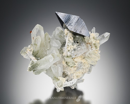 アナテース / クローライト / クォーツ【Anatase with Chlorite in Quartz】パキスタン産