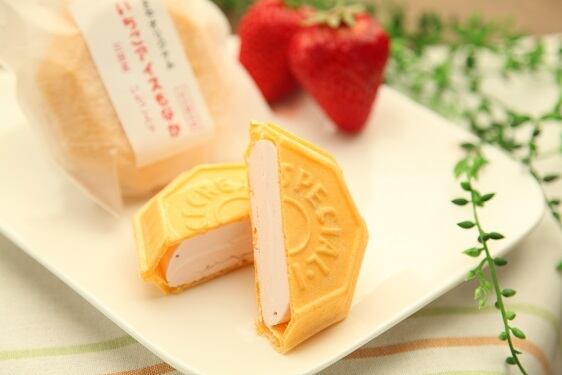 いちごアイスもなか10個セット | しい茸ランドかさや kasayashop