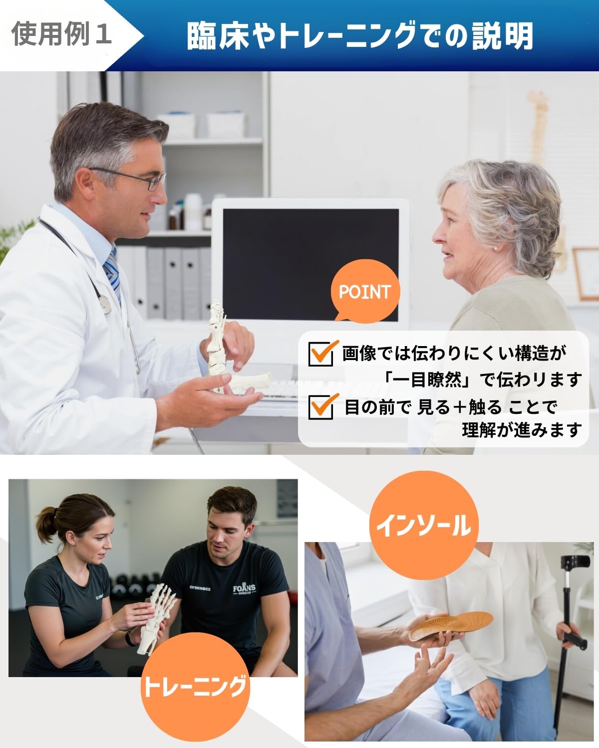 KIYOMARU ビヨーンと伸びて全ての骨を自由に動かせる足骨模型 理学療法