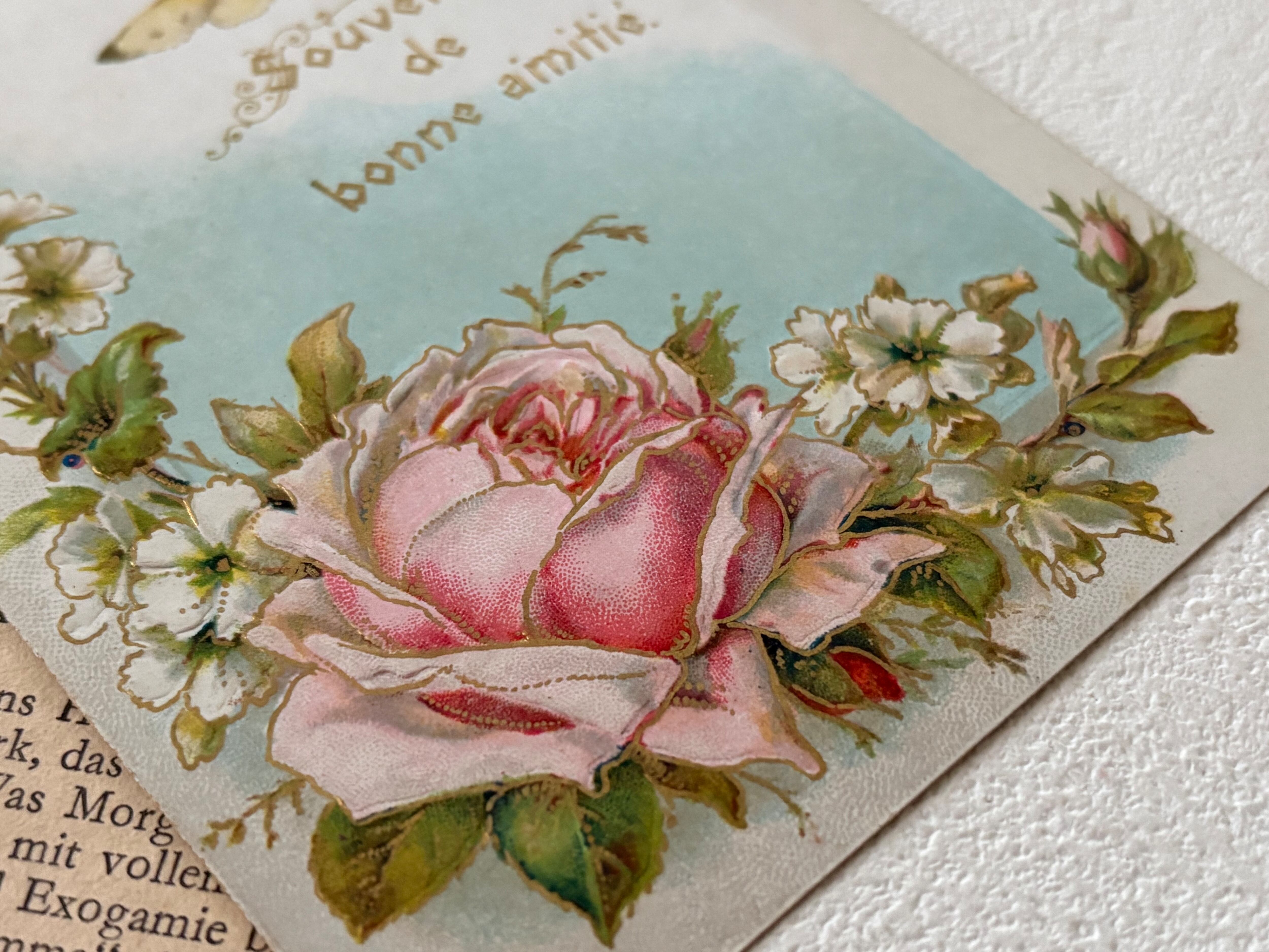 アンティークポストカード Bonne amitie 薔薇 蝶 Rose エンボス