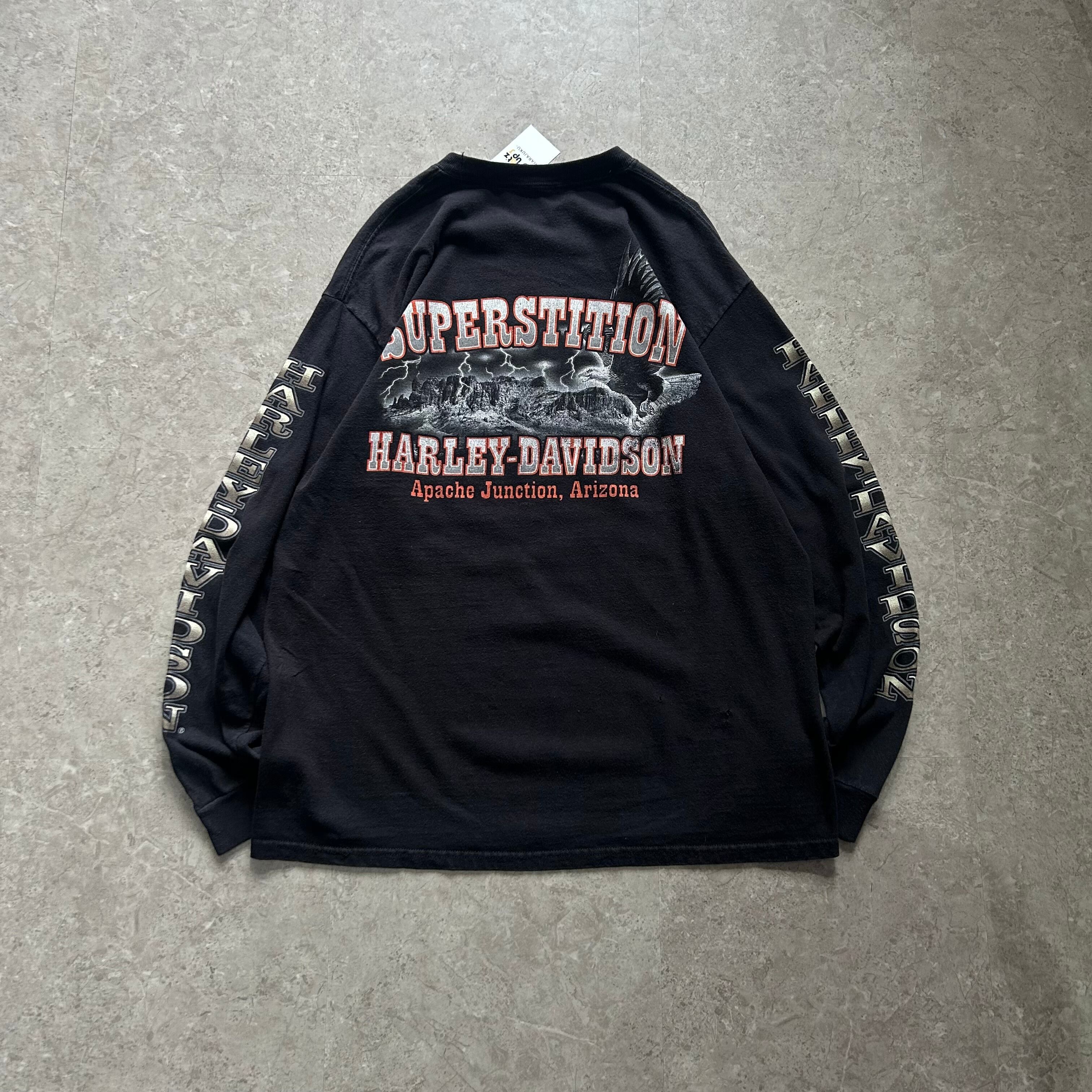 2009s Harley-Davidson L/S T-shirt【仙台店】