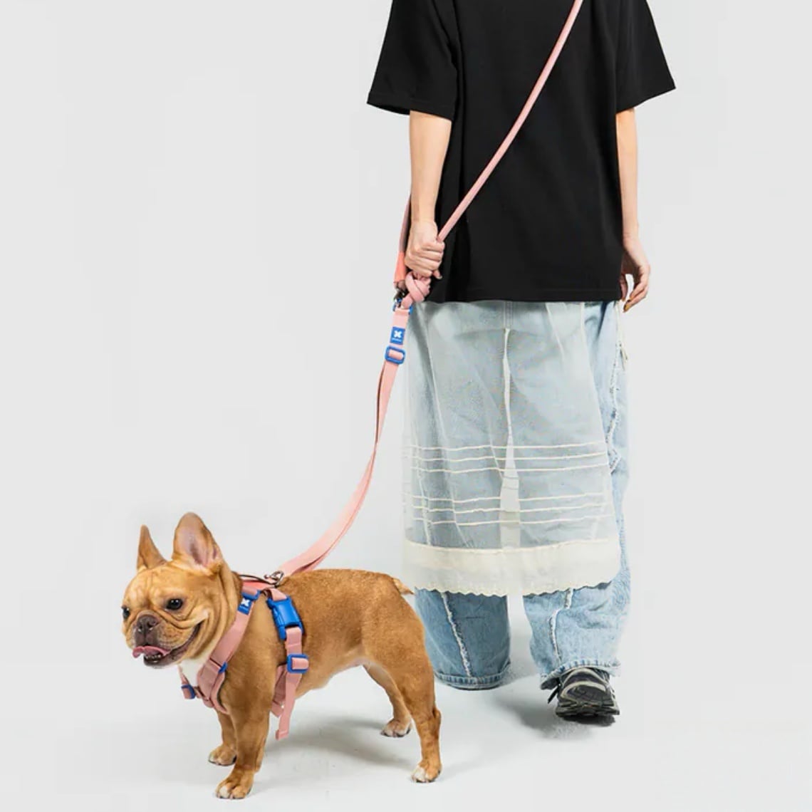 SPUTNIK】ブランド10周年記念_ハンズフリーリードPINK | ペット用品