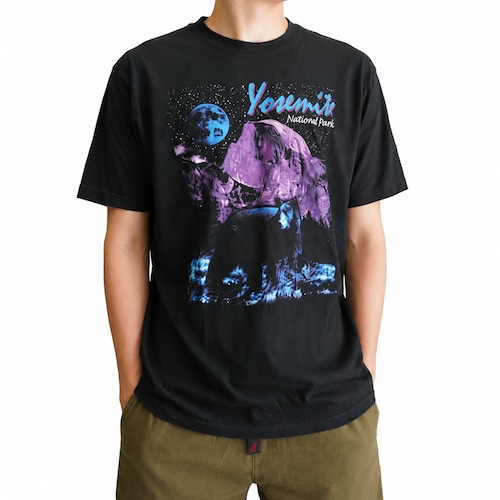 VAR PR NATIONAL PARKS YOSEMITE TEE ヨセミテ国立公園 プリントTシャツ メンズ L コットン100% アメリカンヴィンテージ グラフィックTシャツ