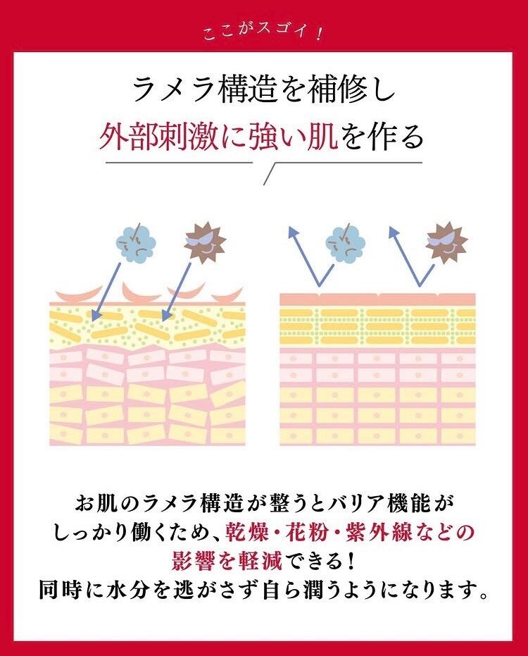 正規販売店】Sango（サンゴ）エマルジョン｜潤いを閉じ込め、ふっくら