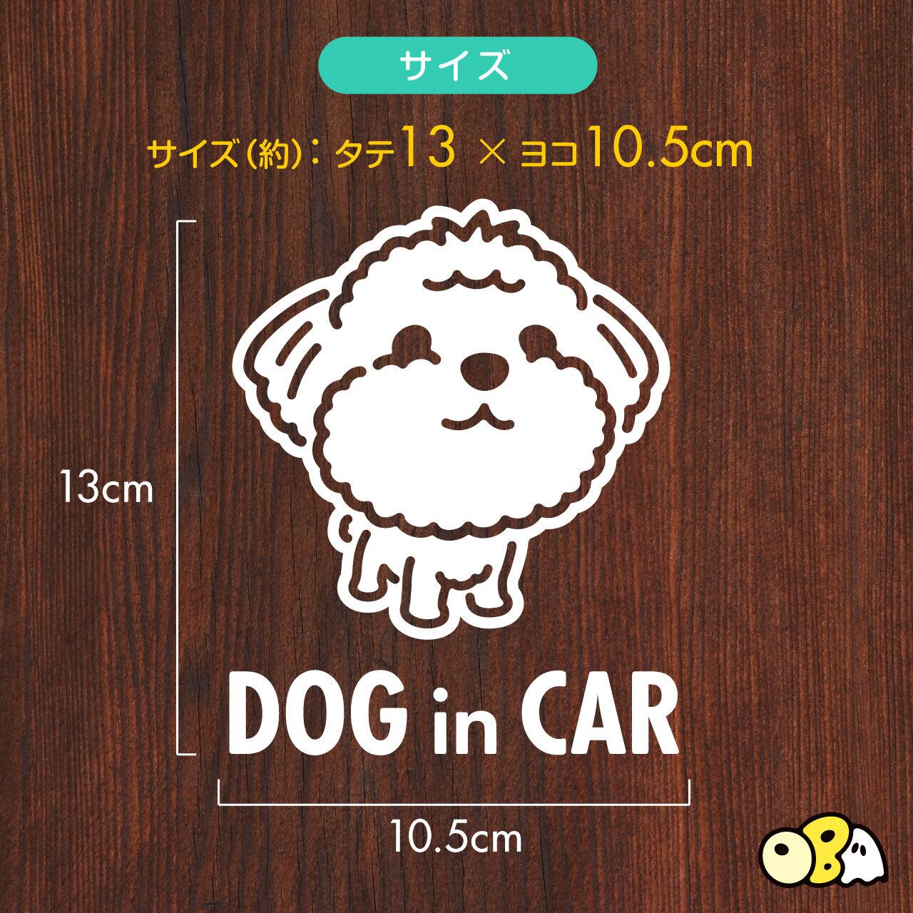 マルプー（マルチーズ×トイプードル）／DOG IN CAR カッティング