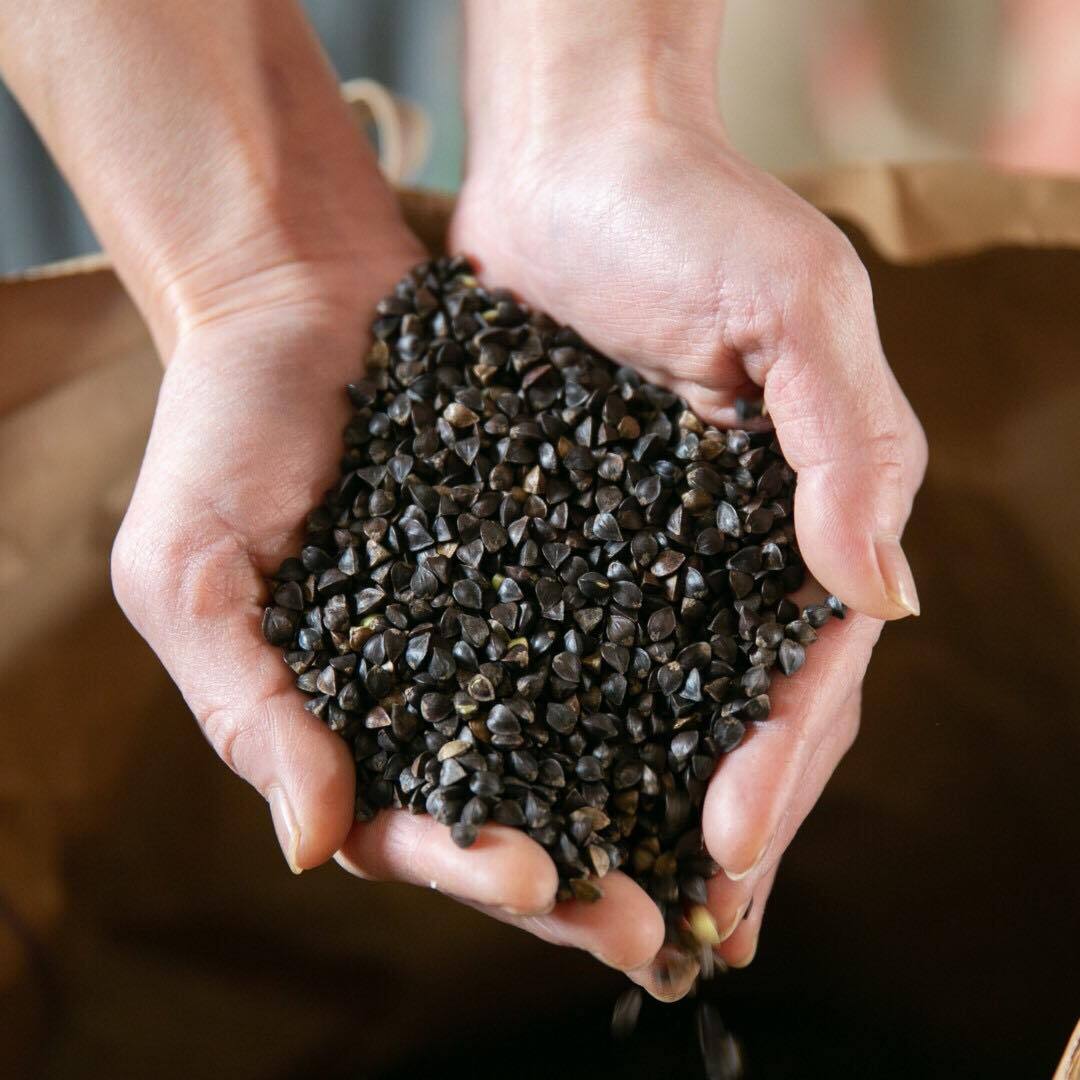 蕎麦粉』500g＋打ち粉 | negibozu