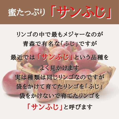 りんご屋さとう　送料無料　産地直送　福島　サンふじ　りんご　箱（約11～12個入り）　12月上旬～順次発送　農家のいちば　３kg　L