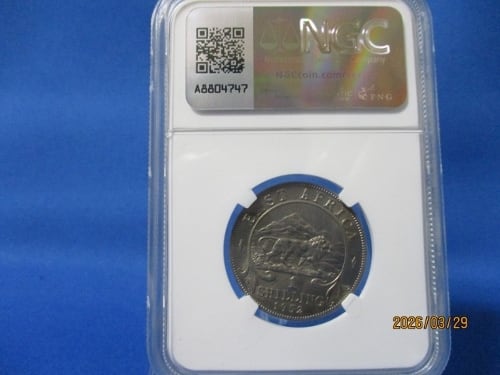 東アフリカ 1シリング硬貨☆1952年／未使用／ジョージ6世／NGC MS65