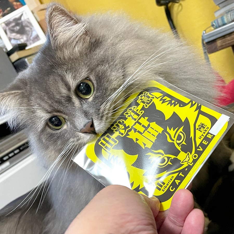 猫出没注意ステッカーOD 10cm角 | 猫山座