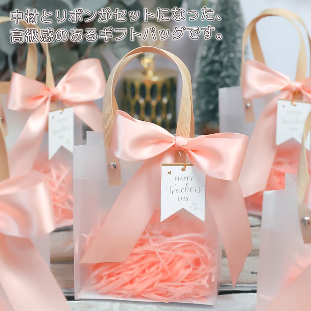 10個入 リボン ギフトバッグ ラッピング プレゼント 可愛い ガーリー