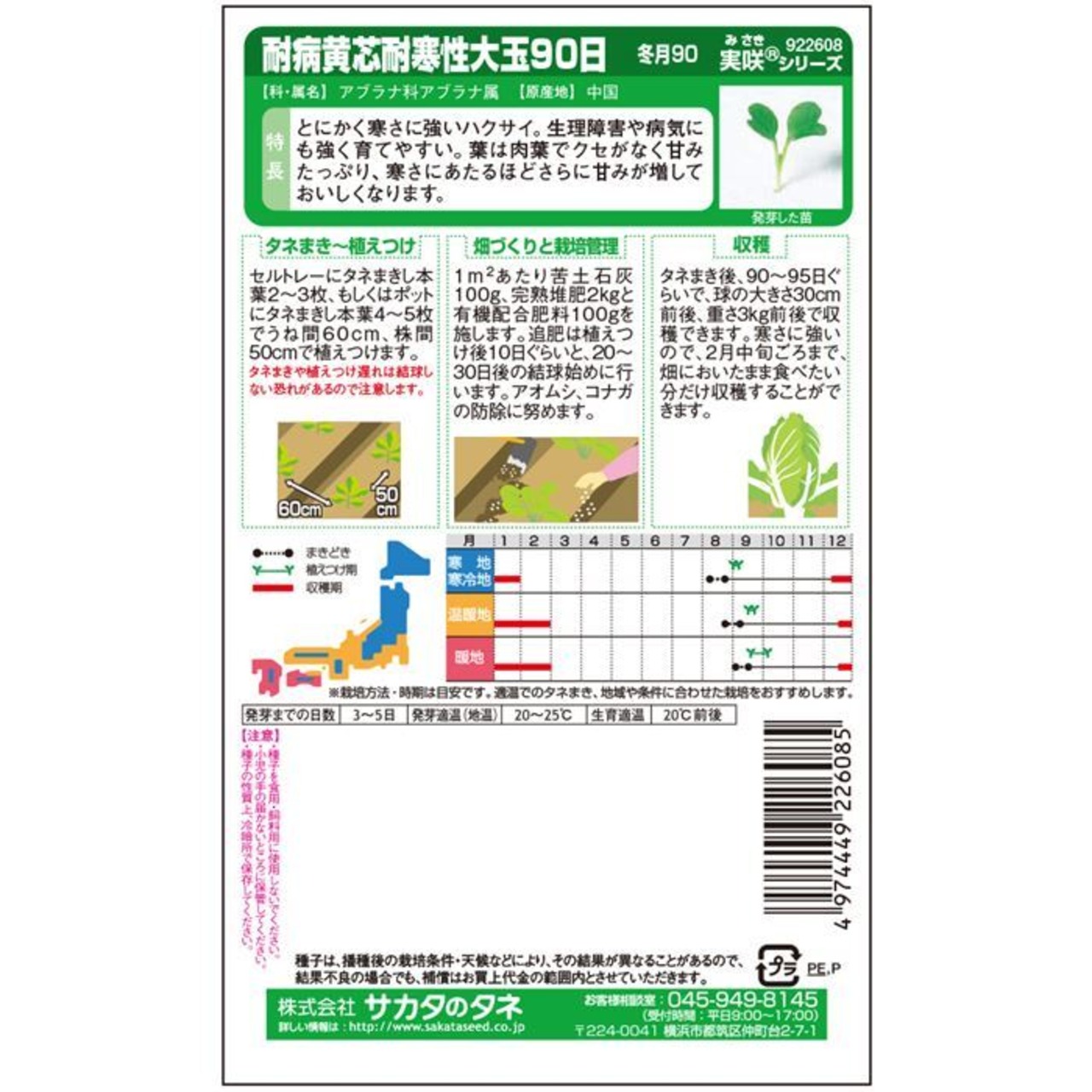 ハクサイ 「冬月90」（P5000粒）・画像2
