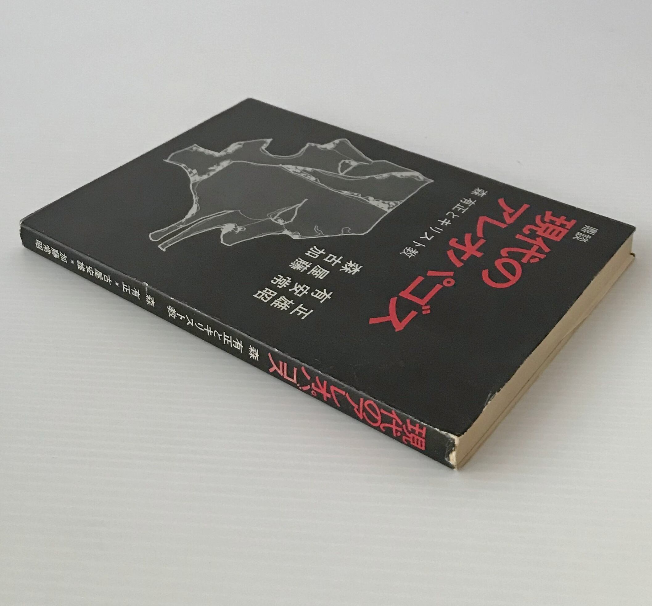 鼎談　現代のアレオパゴス　森有正とキリスト教 現代のアレオパゴス : 鼎談 森有正とキリスト教 | 古書店 リブロス