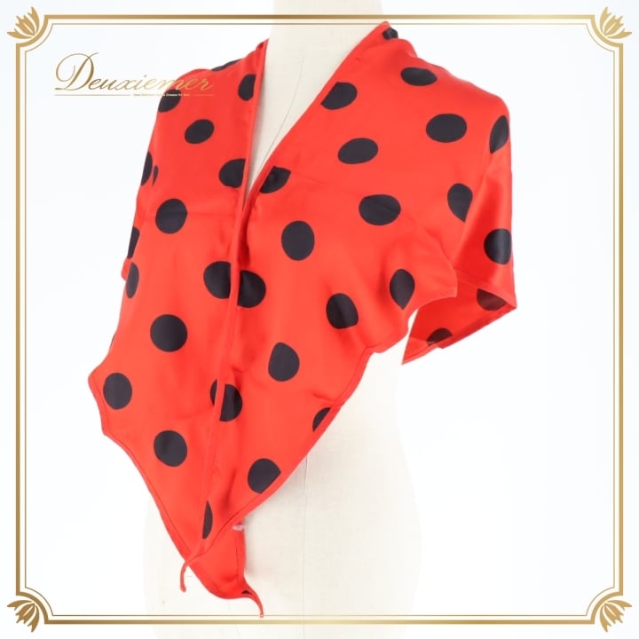 マントン・シージョ | ダンス 衣装 deuxiemer