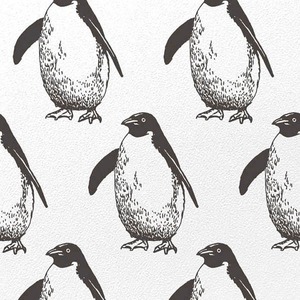 はがせるシール壁紙 PENGUIN - 000003