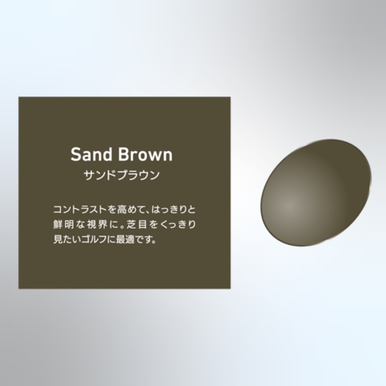 温故知新 若狭参 ｶﾗｰ05 偏光ｻﾝｸﾞﾗｽ