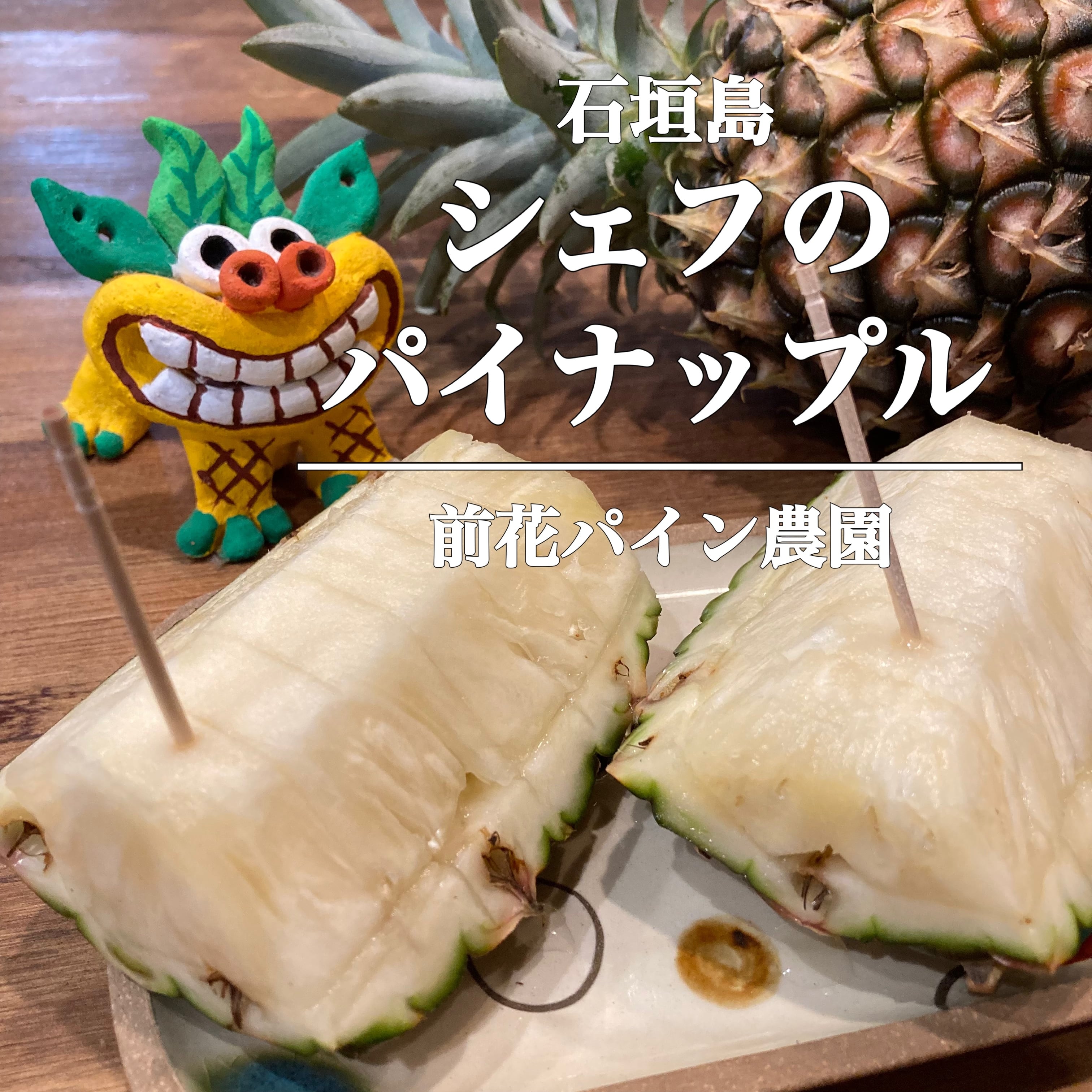石垣島 前花パイン農園