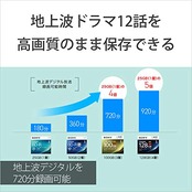 ソニー(SONY) 【1枚(地デジ約12時間)ドラマ・アニメまとめ保存】 ソニー / 1枚入り / ビデオ用ブルーレイディスク / くり返し録画用 / BD-RE / 1枚あたり100GB(地デジ約12時間) / 1-2倍速 / ディスク用ケース付属 / BNE3VEPJ2