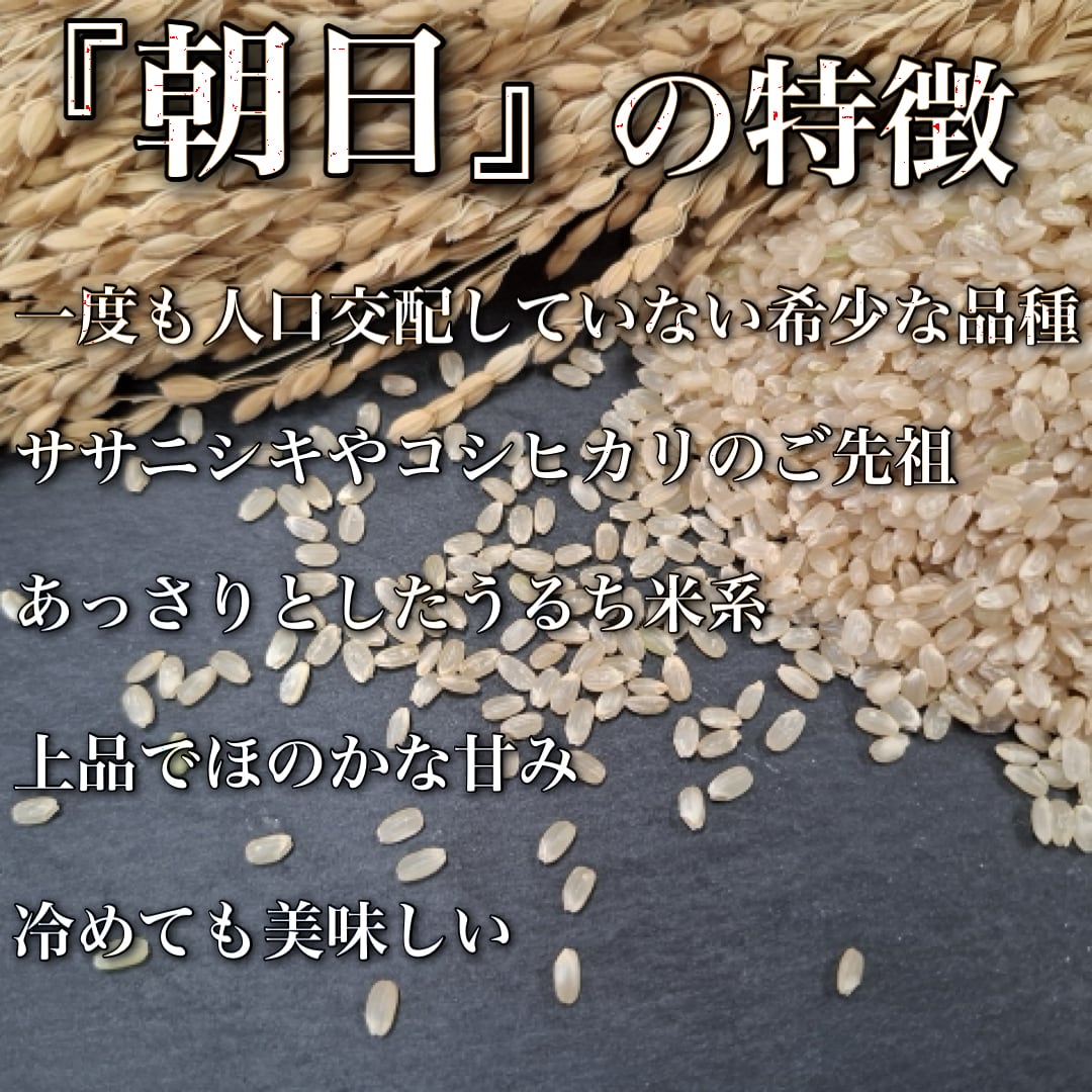 岡山県産 自然栽培 朝日　玄米 10kg 直送・定期宅配】おかやま自然栽培玄米「朝日」10キロ（5kg×2袋)