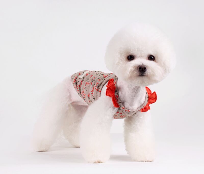 【SALE】フルーツフリルタンクトップ S ~ XL 2color /  犬服 夏 新作 おしゃれ ドッグウェア 可愛い 犬の服 小型犬 中型犬 ペット用品 ペット洋服