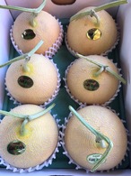黄美香（きみか）メロン Sサイズ 秀品6玉（計約10kg）