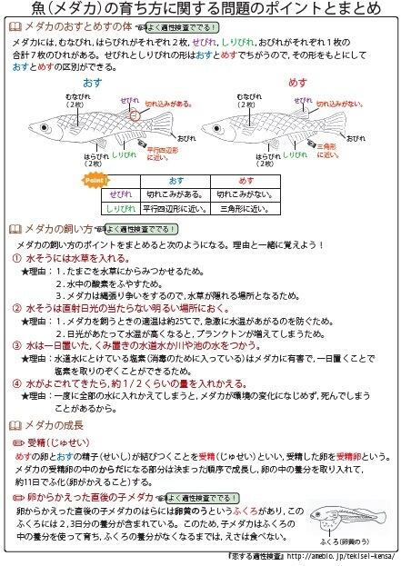 福島県共通版「塾に通わなくても効率よく最短で合格 志望校別お買い得