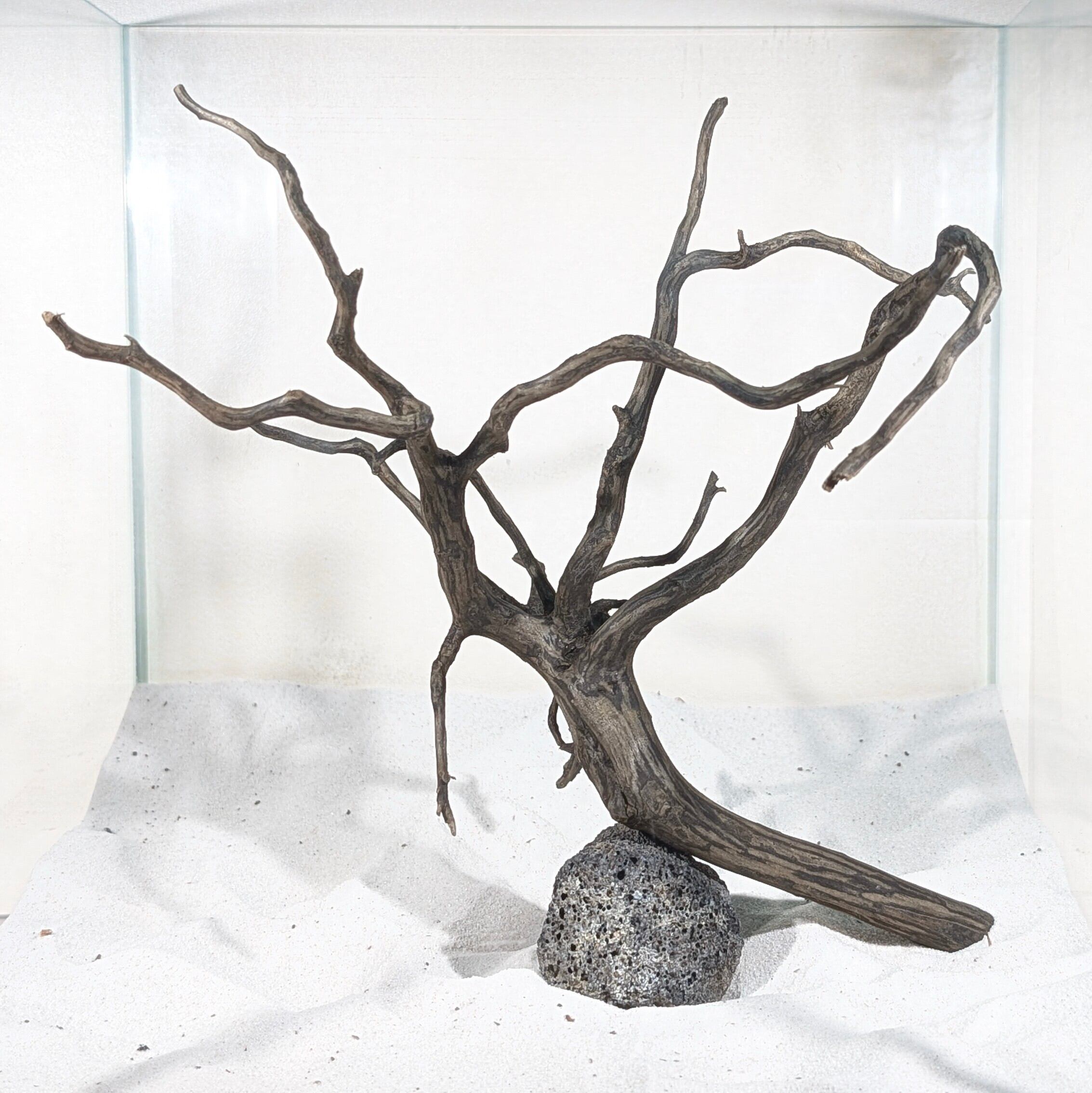 ブラックスマトラブランチウッド37cm【BSB001】 まとめ買い対応 ブラックスマトラブランチウッド37cm【BSB001】 まとめ買い対応