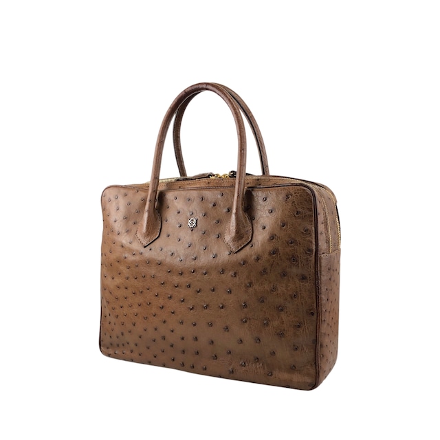 LOEWE ロエベ ハンドバッグ ブラウン アナグラム オーストリッチ vintage ヴィンテージ オールド pztb8z