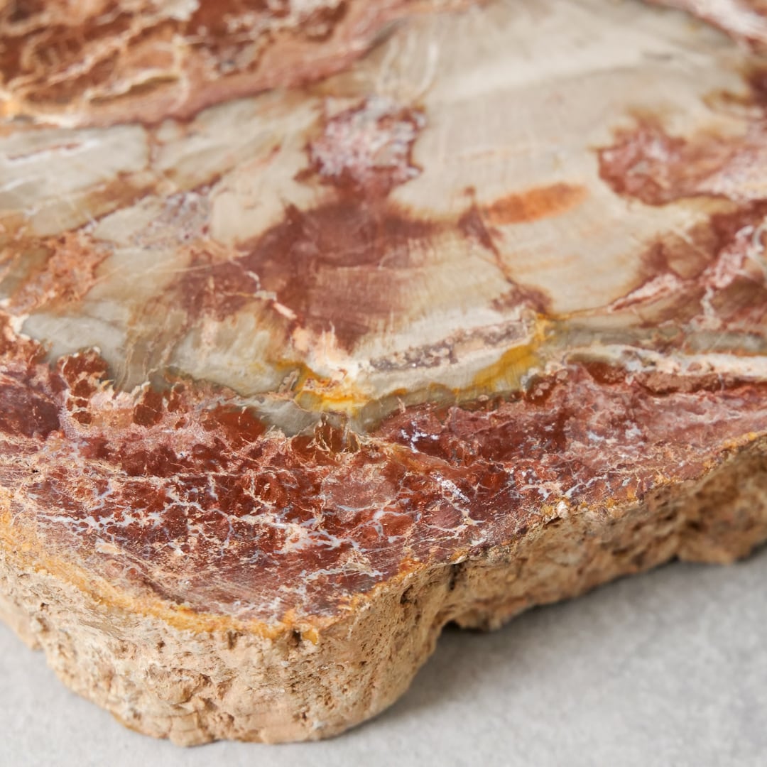 ペトリファイドウッド / スライス プレート【2】 | ariife.公式