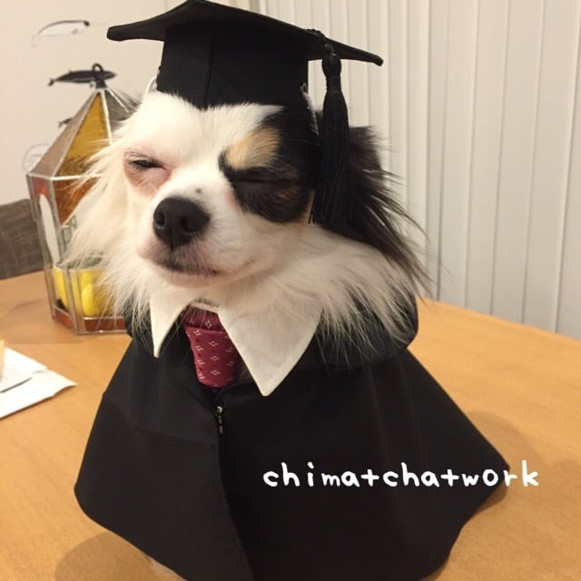 1ec7b947108c414fac2e61811837d2