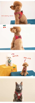 【PUPPYGALLERY公式】チェリーチェックステップインハーネス【レッド】3XS-XL