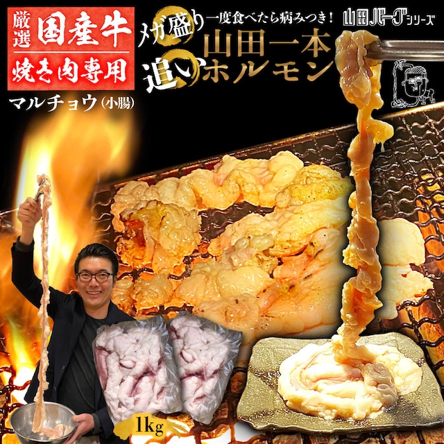 国産 牛 ホルモン 1kg(500g×2) 山田一本ホルモン 【焼肉用】