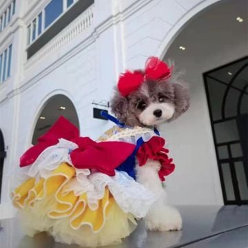 プリンセス・スノーホワイトドレス 00582