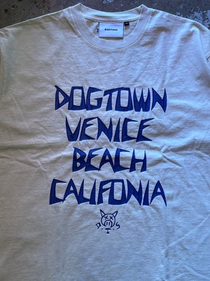 DOG TOWN / Pigmented letter print T-shirt / Tシャツ / DT-C-023