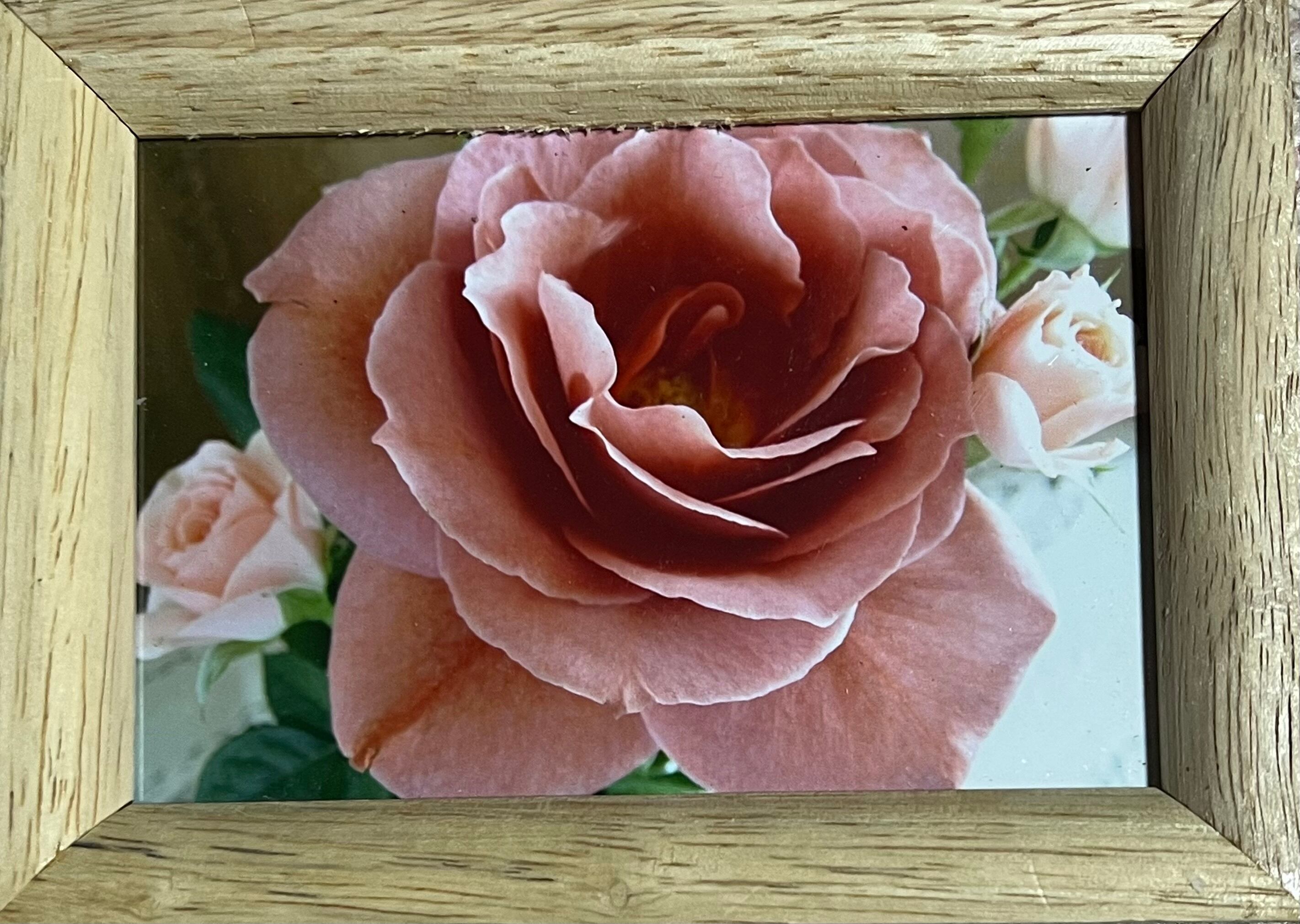 菩薩＊四つ切サイズ水彩額装画＊原画 | mizunoART ゆり呼【渡邉裕美