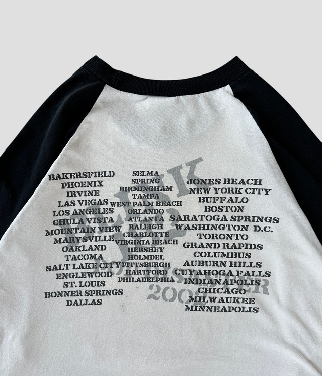 -BLINK 182- Vintage 00s L Raglan Print T-shirt