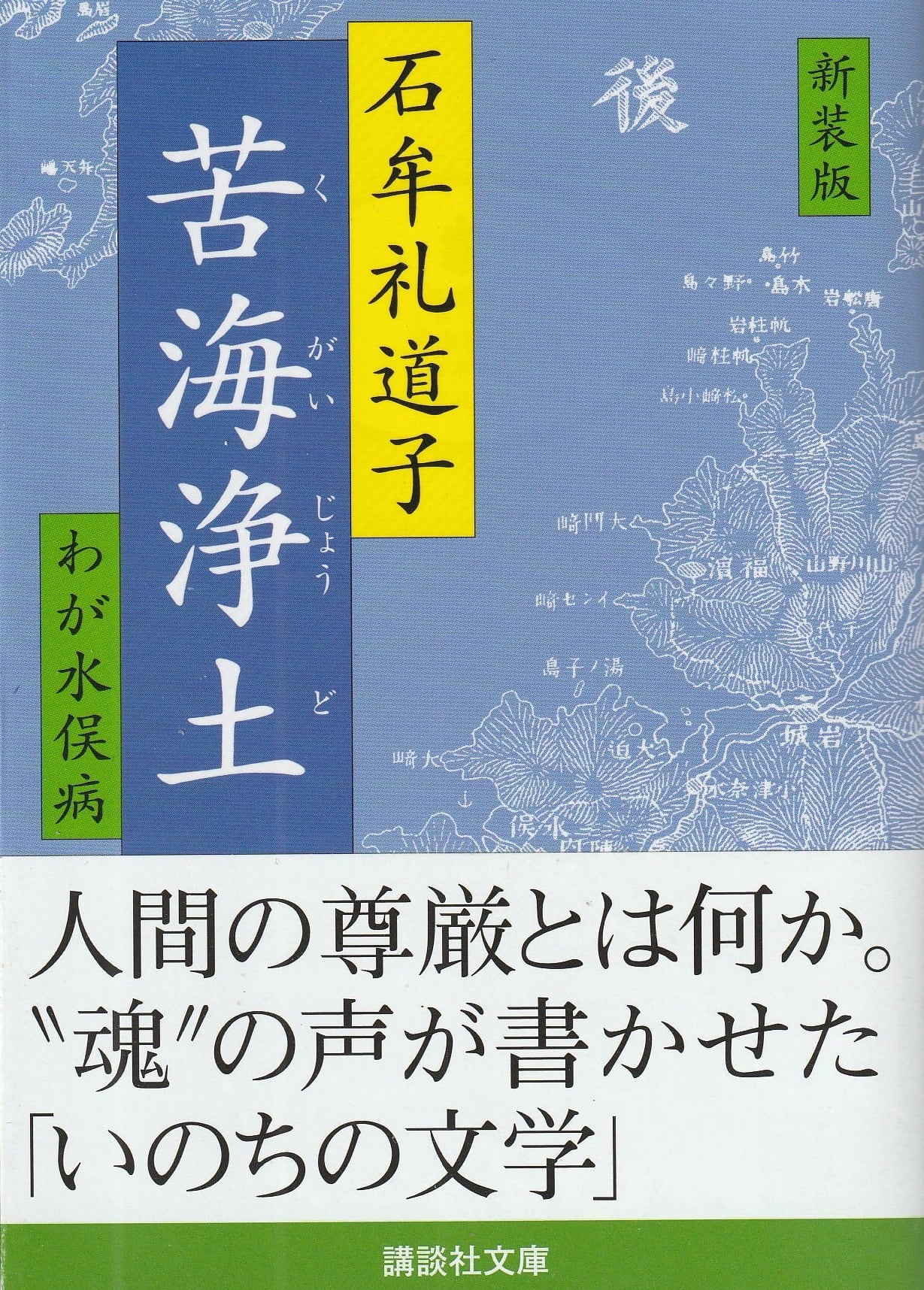 新装版 苦海浄土 わが水俣病