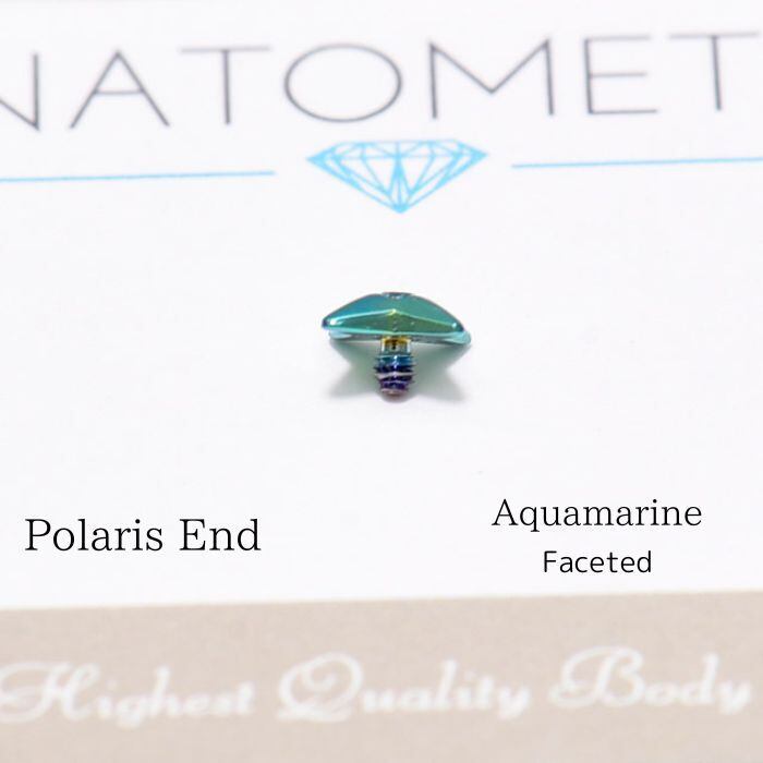 アナトメタル　ピアス　ポラリス　16mm 14G ANATOMETAL 限定商品/Limited Item ブリリアントカットポラリス
