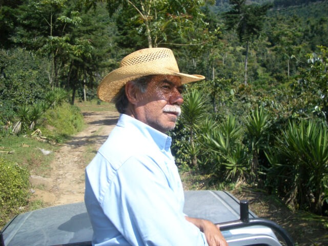 グアテマラ エルインヘルト マグノリア区画NA 中浅煎り 200g