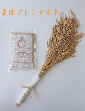 【500g】有機農園ブレンド米「いただきます」玄米