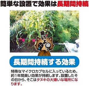 撃退タヌキ激臭シート 50個入 激辛臭が約２倍の強力タイプ 効果は驚きの１年間！