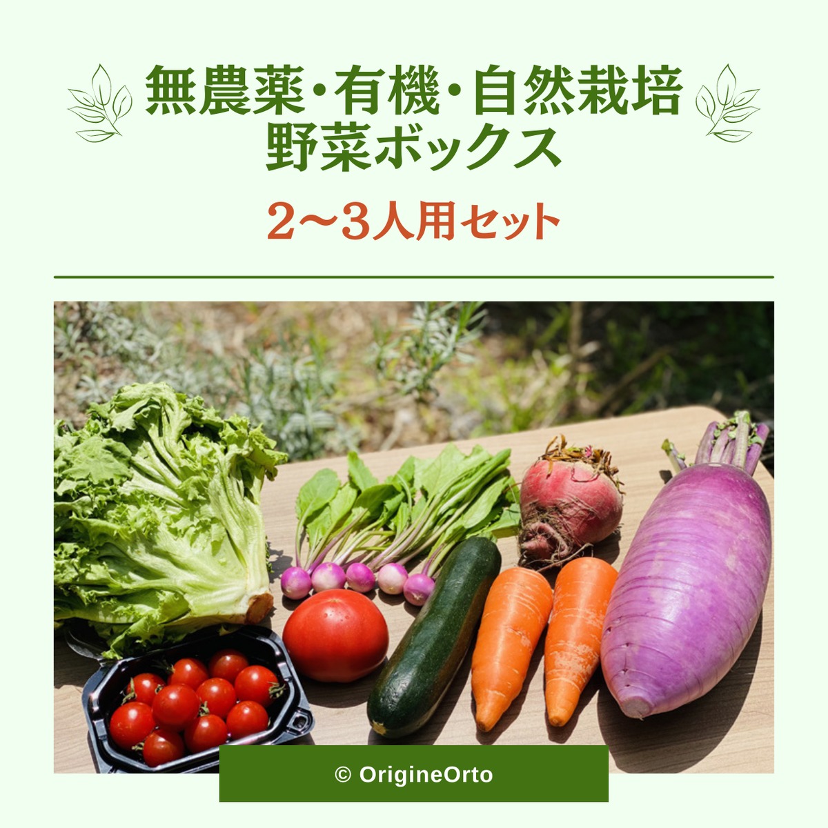 ２〜３人用 無農薬・有機・自然栽培野菜ボックス | OrigineOrto powered by BASE