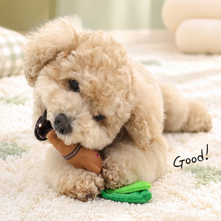A+ginseng latex toy 2color /  ペット 犬 おもちゃ 噛む 音が鳴る 知育玩具 鳴き笛入り 可愛い わんちゃん おもちゃ ラテックス トイ ストレス解消 韓国 ペット用品