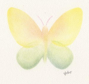 butterfly-yellow