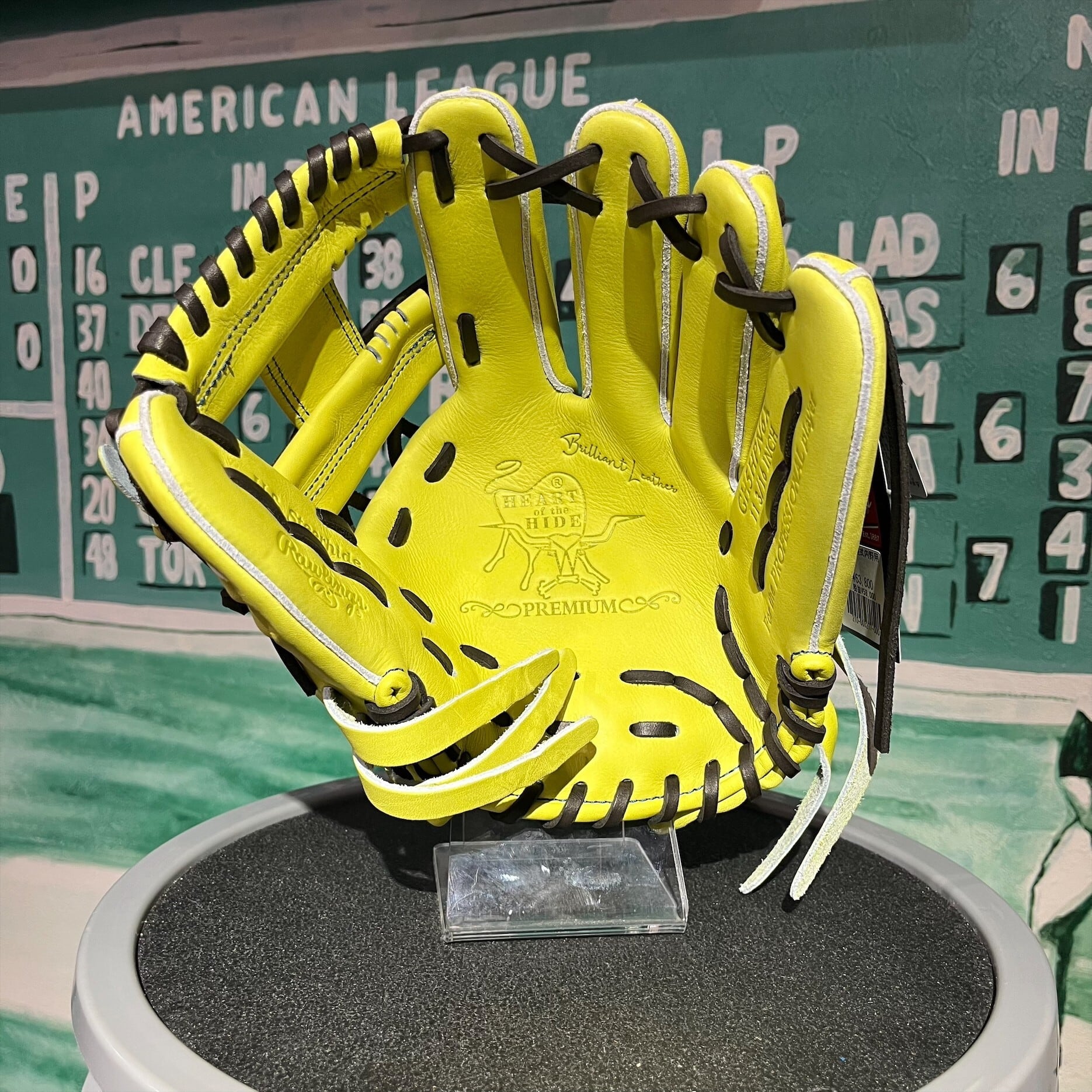 Rawlings ローリングス 硬式グラブ 内野手用 HOH PREMIUM GH5HPN6X